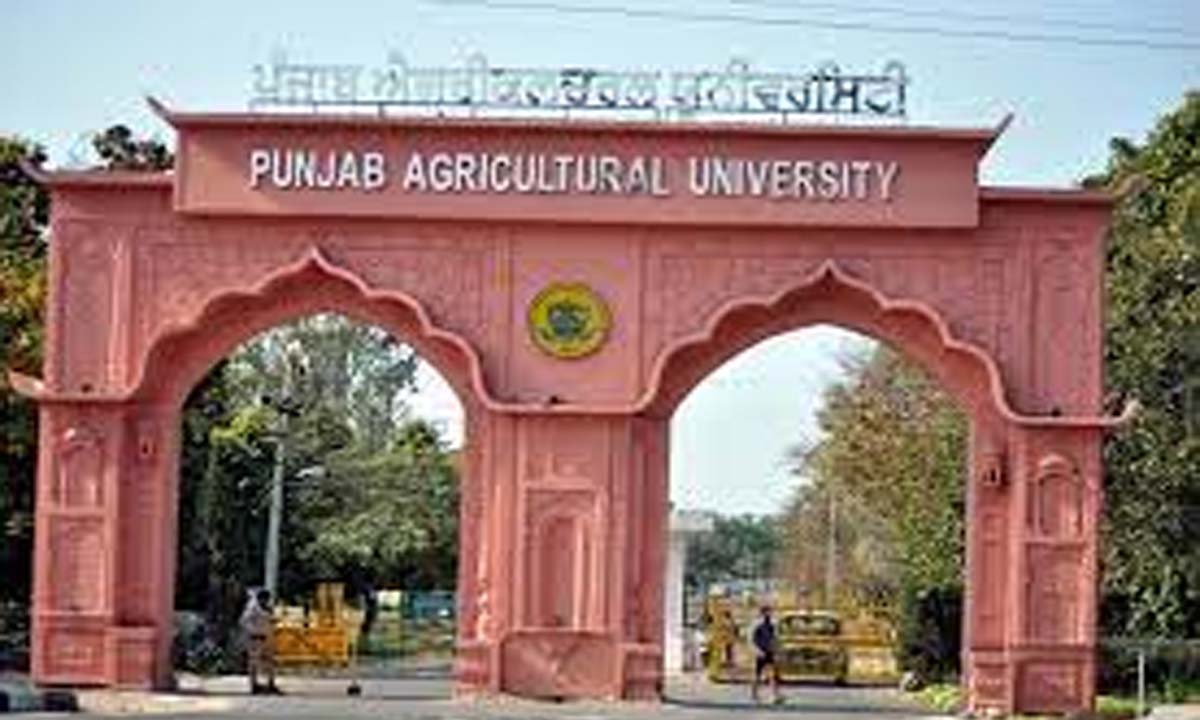 पंजाब कृषि विश्वविद्यालय में आईएसएडीपी सम्मेलन आज से