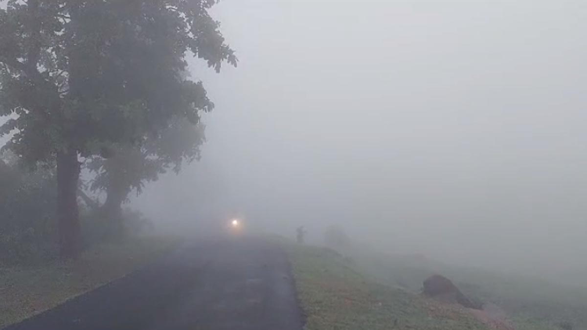 तापमान में गिरावट से बढ़ी ठंड, कई जिलों में ठिठुरन की स्थिति