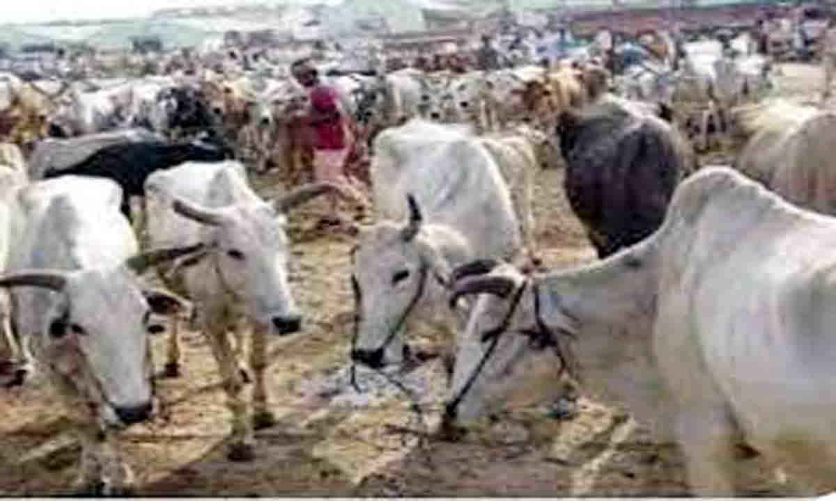 पशुपालक सम्मान योजनान्तर्गत आवेदन आमन्ति्रत