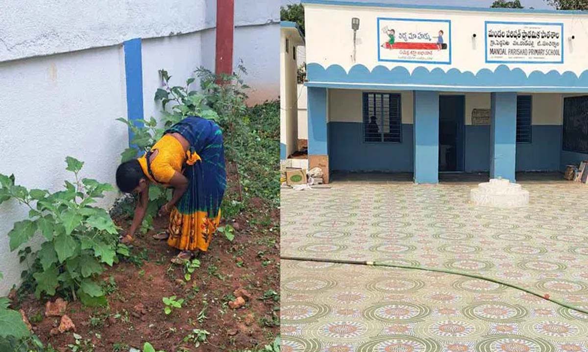 मंचेरियल शिक्षक, छात्र स्कूल में सब्जियां उगाते