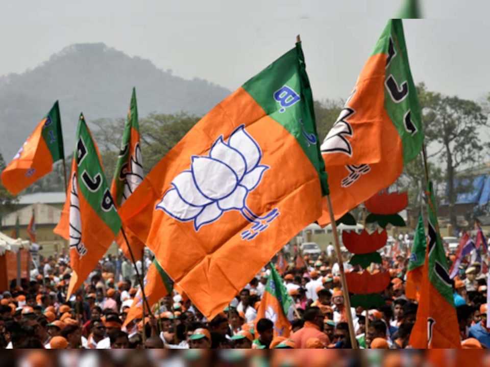 बीजेपी को वोट देना पड़ा भारी, मुस्लिम महिला के साथ मारपीट