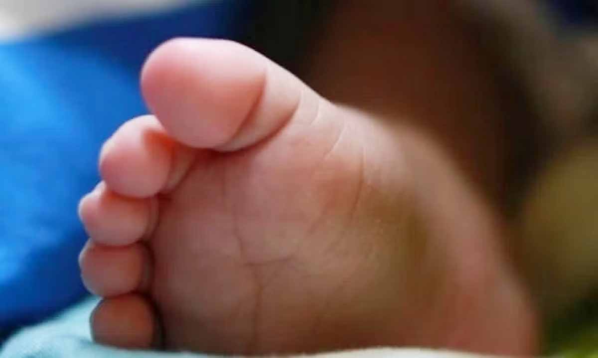 अस्पताल के कूड़ेदान में मिला नवजात शिशु का शव