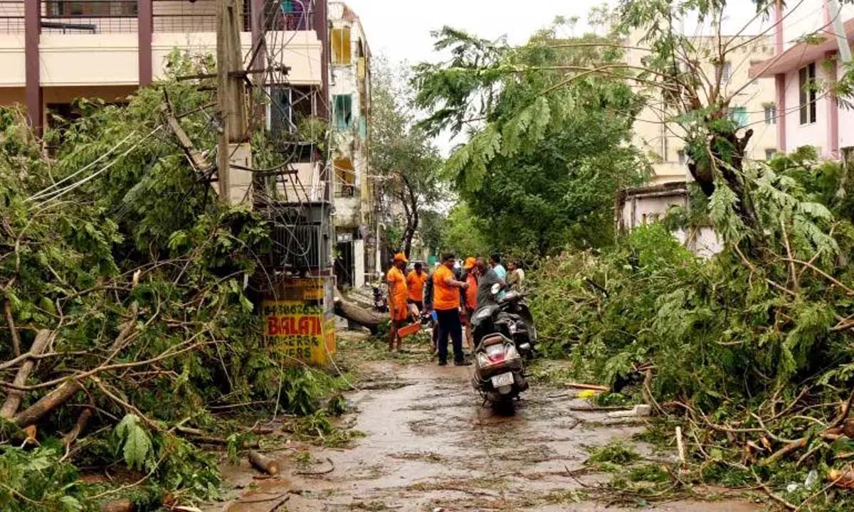 तमिलनाडु का क्षमता निर्माण अच्छा: एनडीएमए सलाहकार
