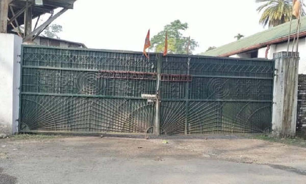 Jalpaiguri: दो साल में तीन बार बंद हुए डुआर्स चाय बागान के करीब 500 श्रमिक पलायन को मजबूर