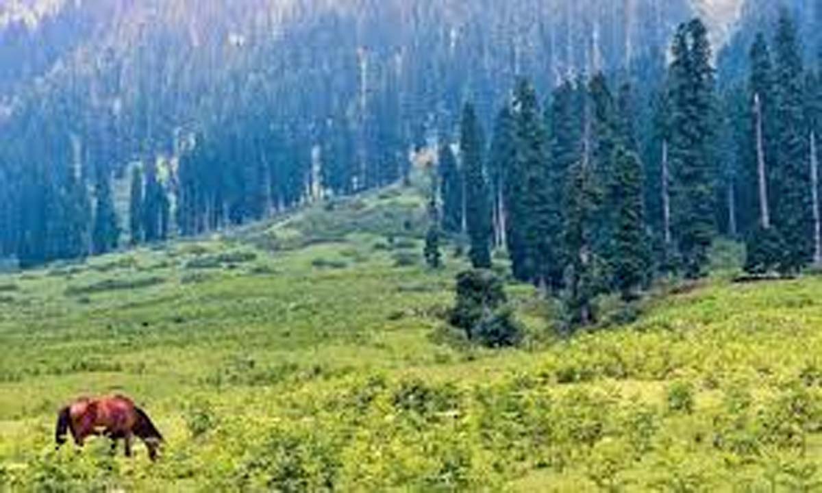 जम्मू-कश्मीर के लोगों का प्राकृतिक संसाधनों पर पहला दावा: उमर