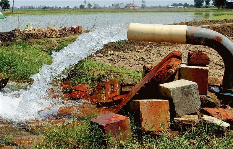 Punjab : अरोड़ा ने कहा, 20K कृषि पंप सौर ऊर्जा से चलेंगेअरोड़ा ने कहा