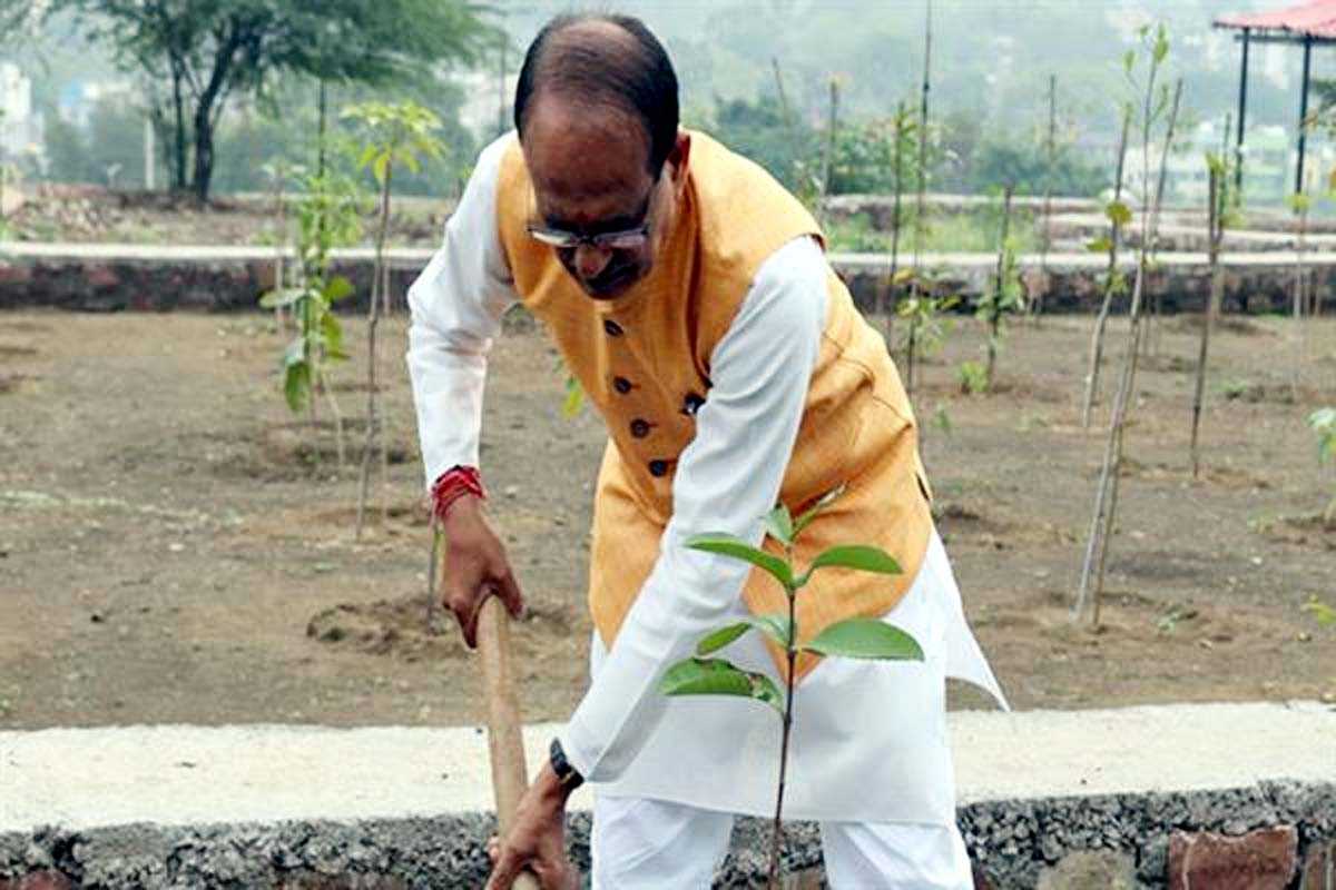 मुख्यमंत्री चौहान ने नीम, गुलमोहर और अमरुद के पौधे रोपे
