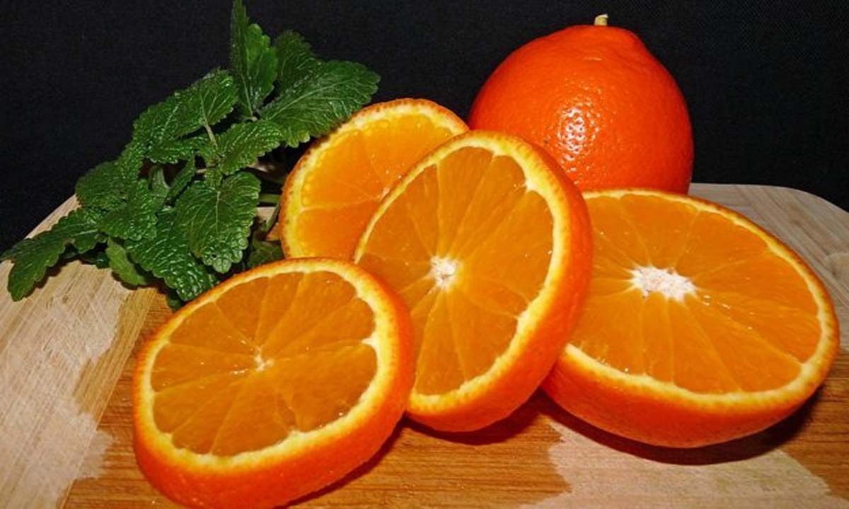 Business: किन्नू की बंपर फसल के बीच कीमतों में तेजी से गिरावट आई