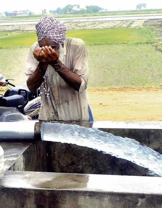 पंजाब में ट्यूबवेलों के बहुत अधिक घनत्व के कारण जल स्तर में गिरावट आ रही है: पीएसपीसीएल रिपोर्ट