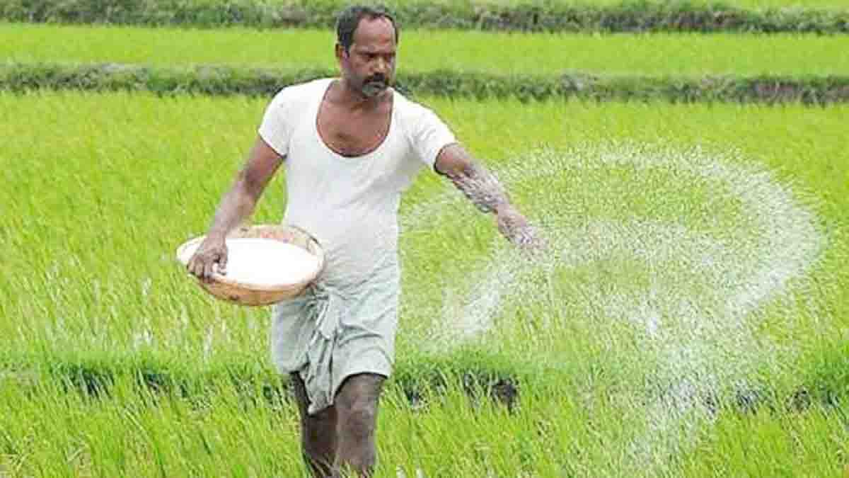 रोहतक : डीएपी के साथ अतिरिक्त उत्पाद खरीदने को मजबूर किसान