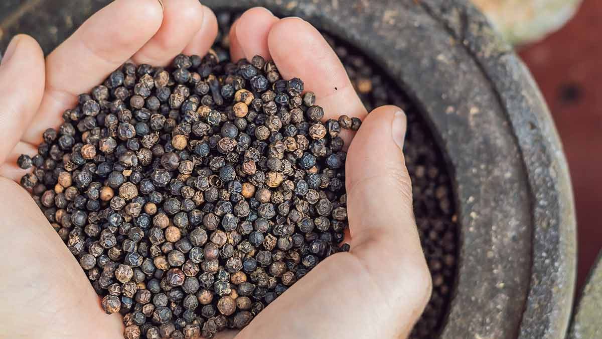 सर्दियों में काली मिर्च का सेवन से मिलते हैं ये गजब के फायदे