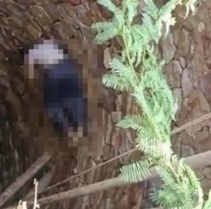 पुलिस से बचने कुएं में कूदे लोग, 1 की मौत के बाद हड़कंप