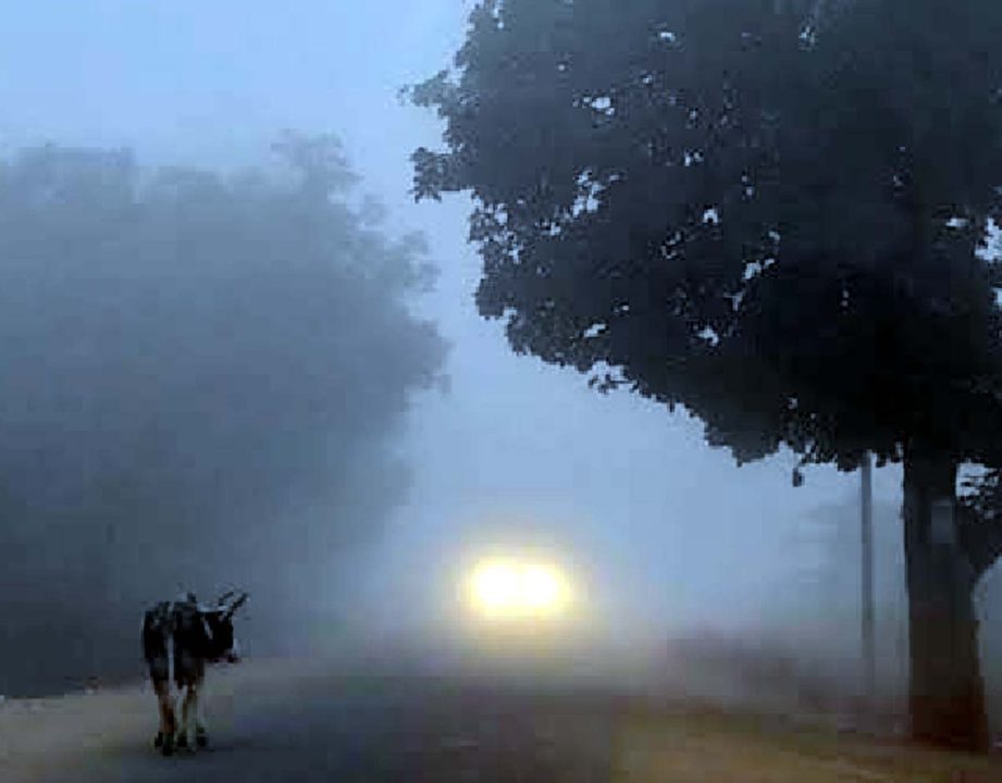 बंगाल में मौसम का सबसे ठंडा दिन, तापमान 14 डिग्री