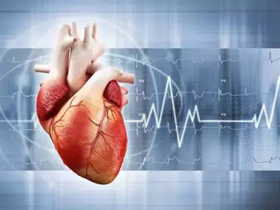 कुलपति की हार्ट अटैक से मौत, छात्रों पर डकैती का केस दर्ज, जानें पूरा मामला