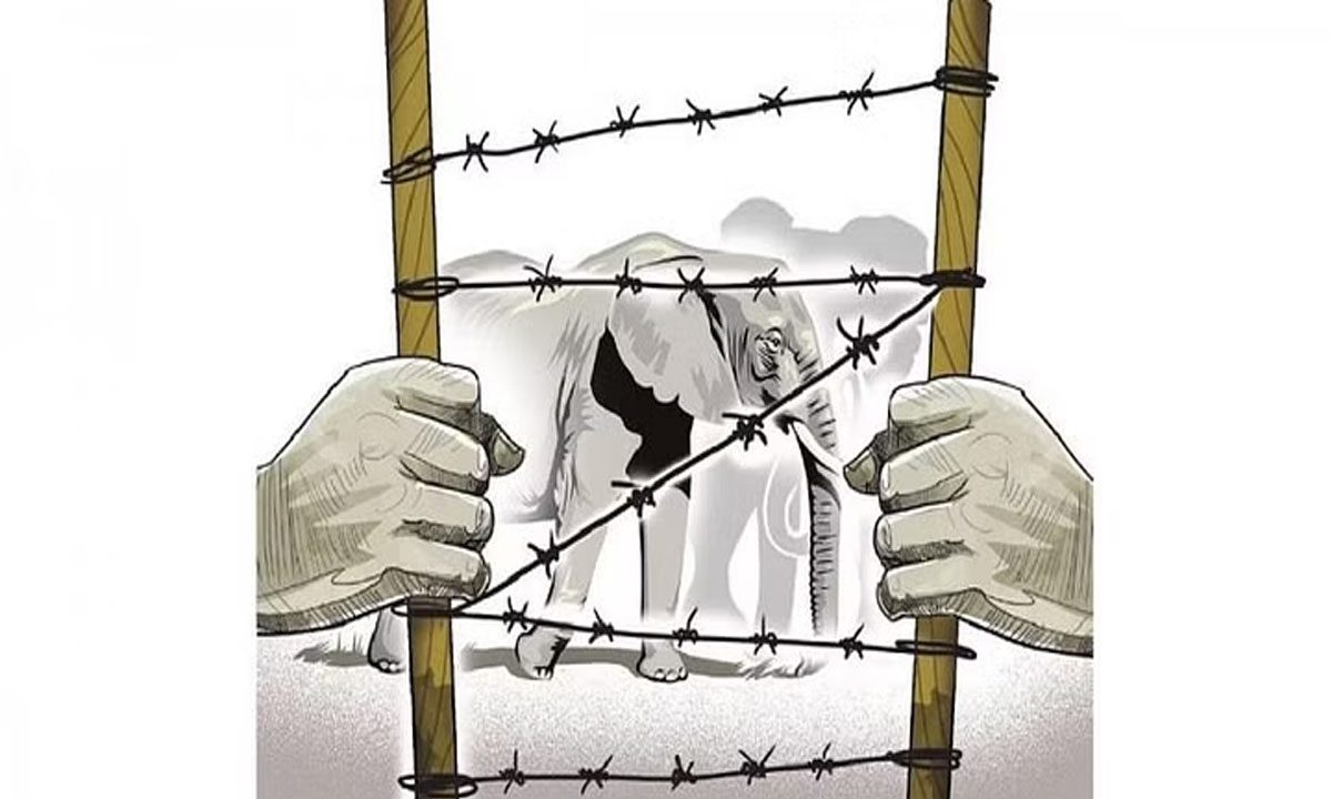 Man-animal conflicts: कर्नाटक अनोखे समाधान की तलाश में