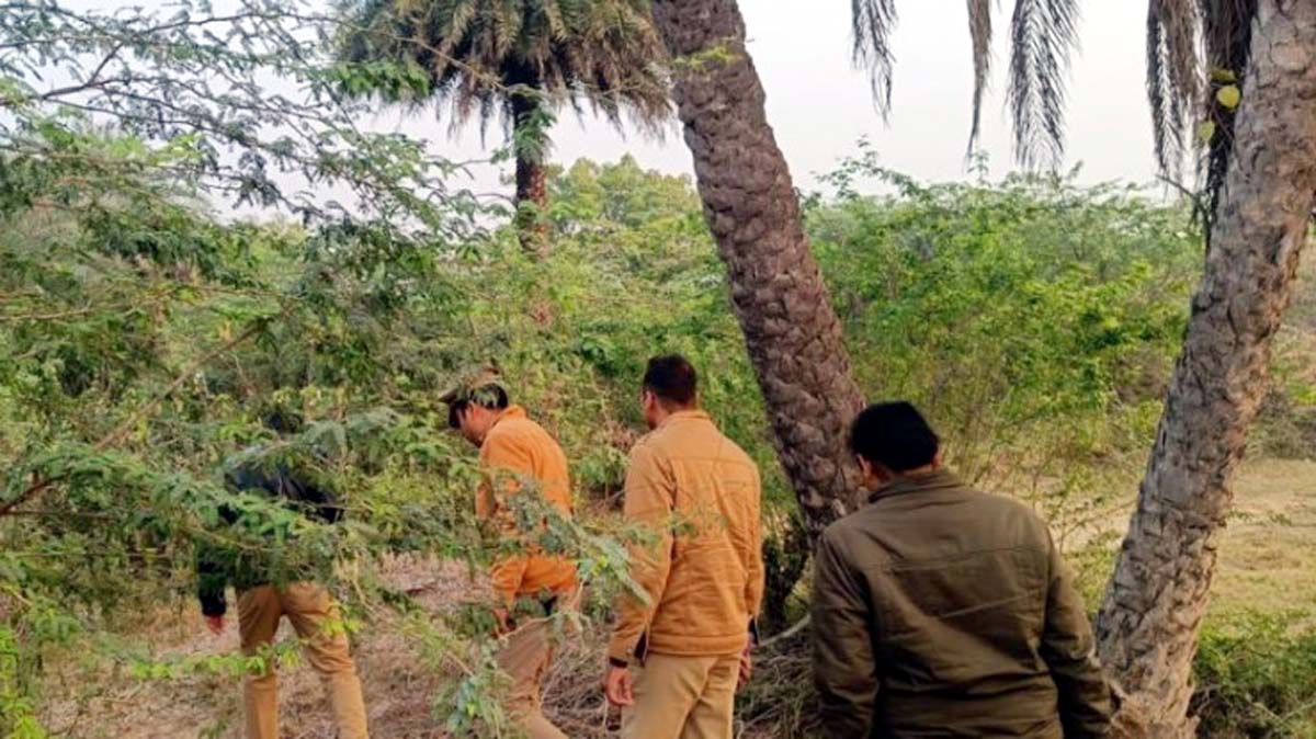 पुलिस ने 289 लीटर अवैध शराब के साथ 36 लोगों को किया गिरफ्तार