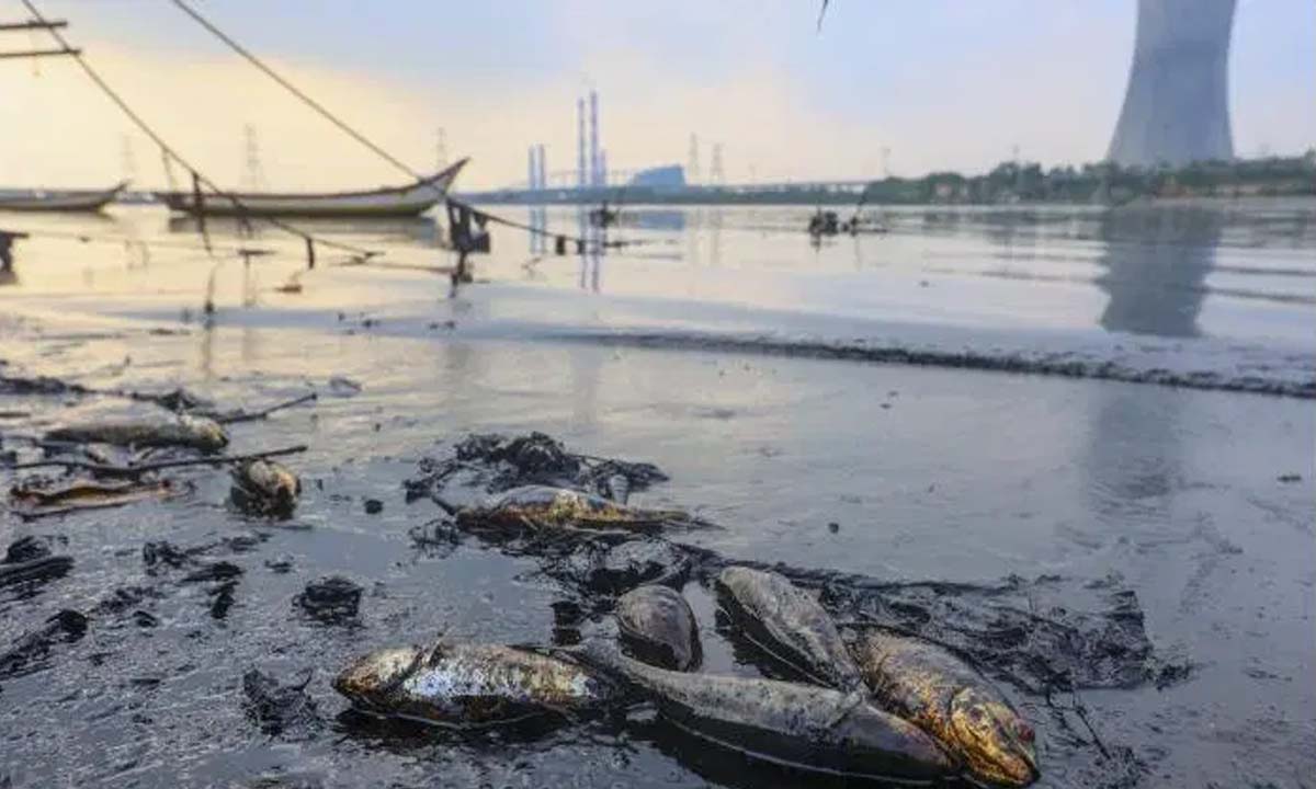 मुख्य सचिव के दौरे के बाद तेल रिसाव को साफ करने का काम तेज हो गया