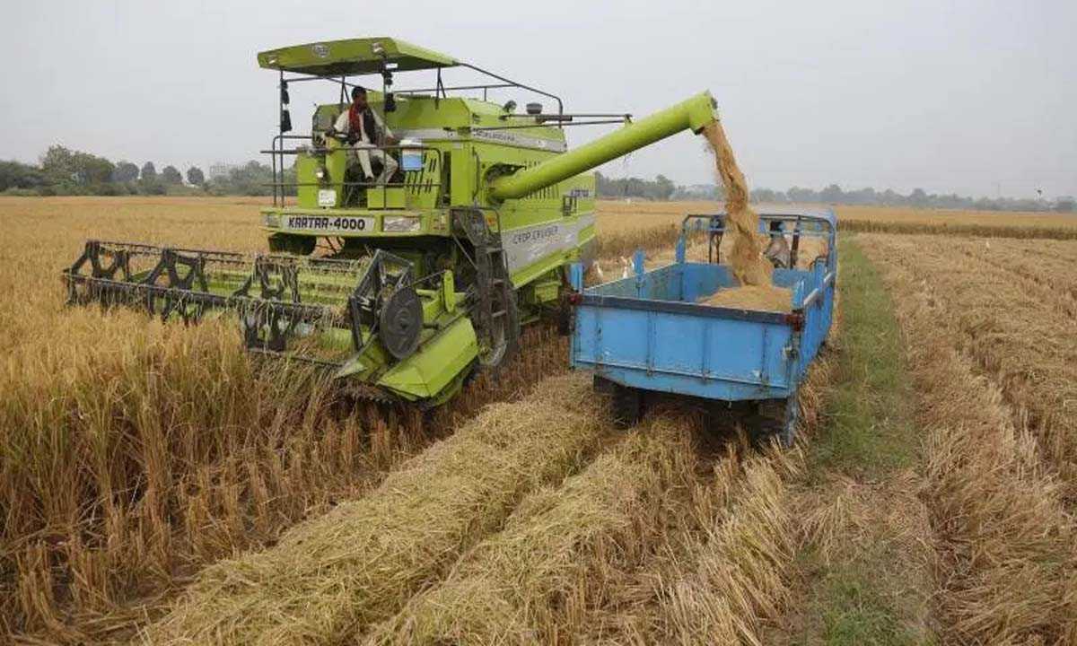 आंध्र प्रदेश सरकार मार्च तक खरीफ धान खरीदेगी