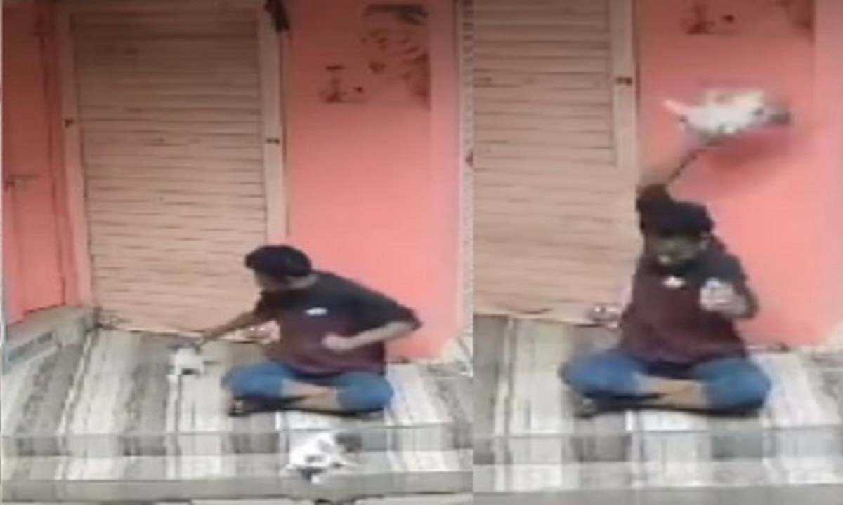 व्यक्ति ने पिल्ले को बेरहमी से मारा