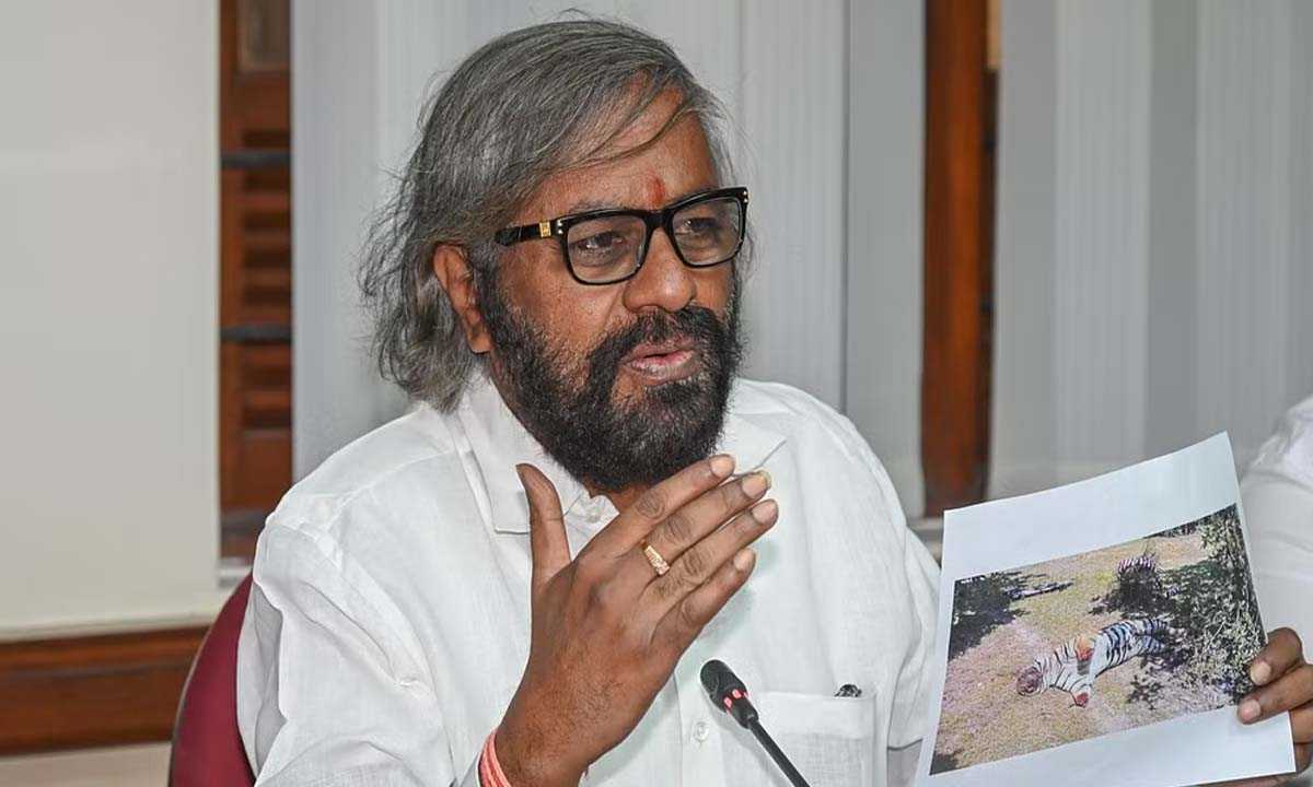 सरकार 1978 से पहले वन भूमि पर खेती करने वालों के लिए स्वामित्व विलेख जारी करेगी