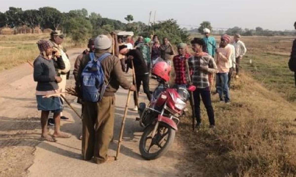 भारत में लुप्तप्राय जानवर, पूर्ण वयस्क जंगली बिल्ली को फंसाने और मारने के आरोप में 22 लोगों को गिरफ्तार किया