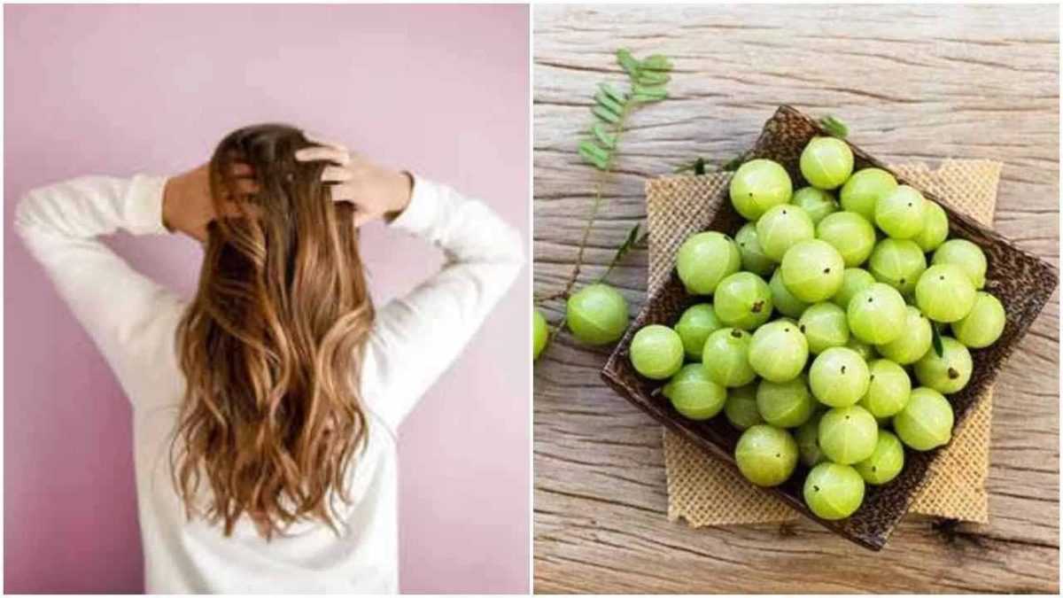 जानें हेयरफाल रोकने के साथ ही बालों की अच्छी सेहत के लिए किस तरह आंवला खाना फायदेमंद होगा