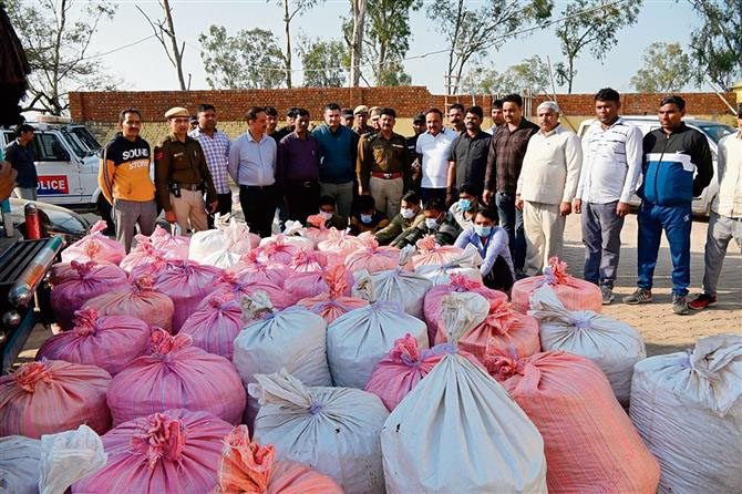 Haryana : पलवल में 6,100 किलोग्राम ड्रग्स जब्त, 170 तस्कर पुलिस के घेरे में