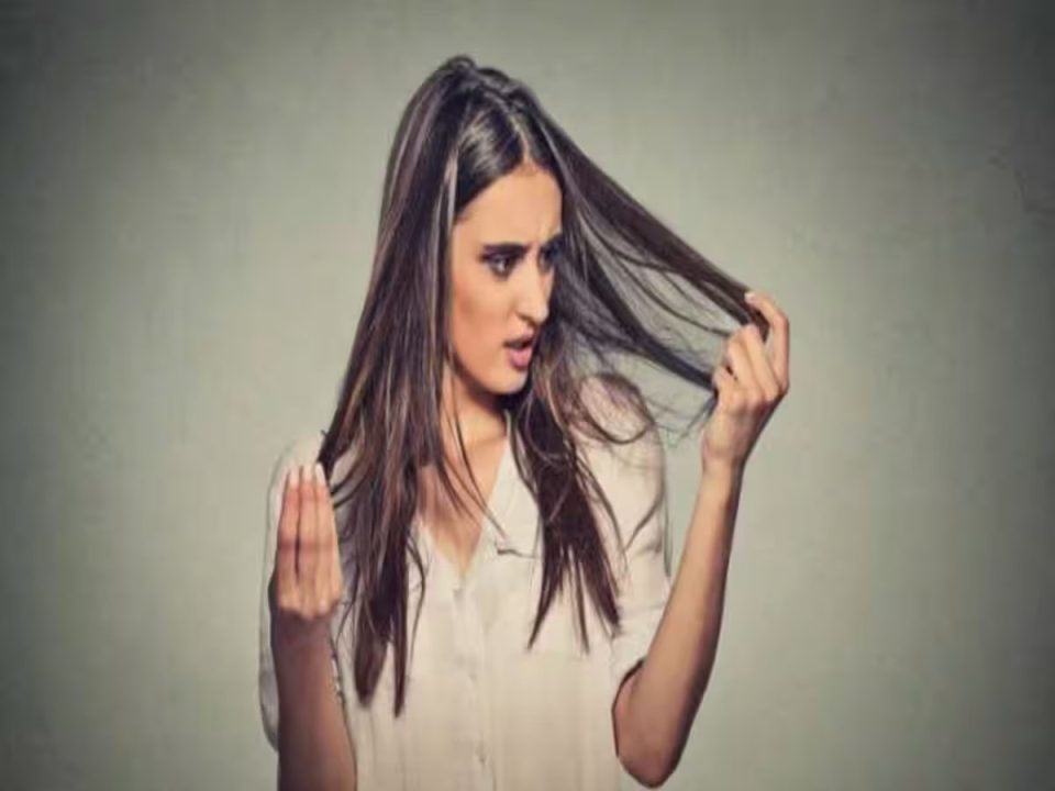 बालों की फ्रिजीनेस को कम करने के लिए इन हर्ब्स का करें प्रयोग
