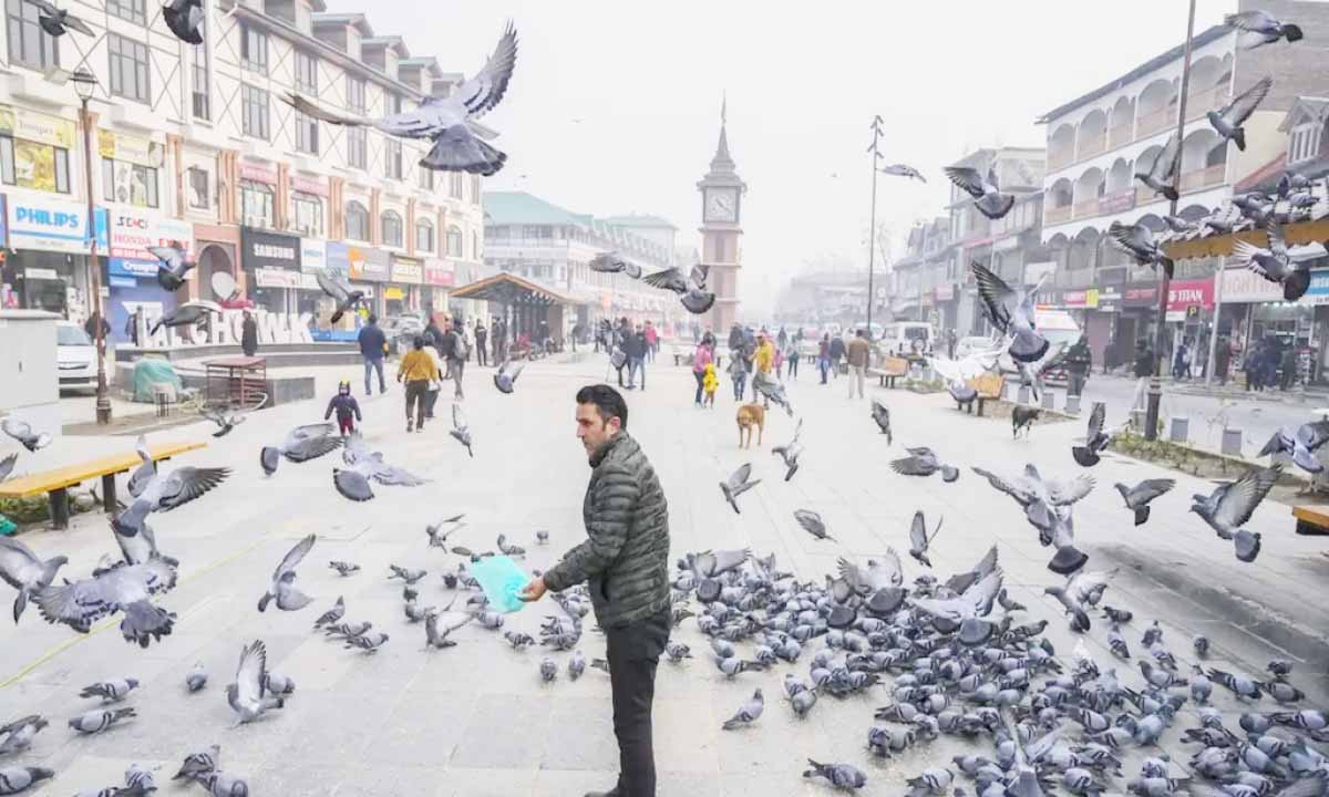 अनुच्छेद 370 पर सुप्रीम कोर्ट के फैसले पर कश्मीर ने चुप्पी के साथ प्रतिक्रिया दी