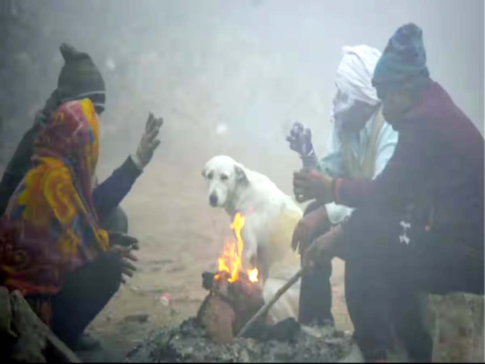 पंजाब समेत मैदानी इलाकों में बढ़ी कड़ाके की ठंड