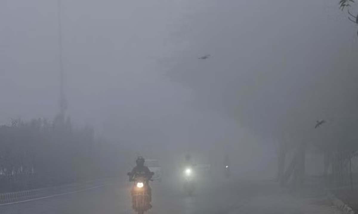 IMD: उत्तर भारत में सप्ताहांत में 'बहुत घना' कोहरा छाएगा