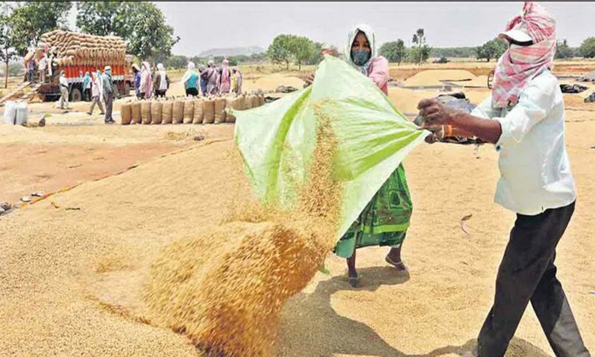 Hyderabad: धान खरीद, लक्ष्य प्राप्ति की संभावना नहीं