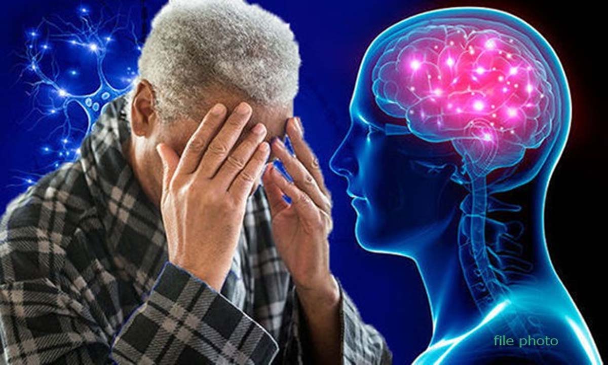 अल्जाइमर रोग के खतरे को कम कर सकता है शाकाहारी भोजन