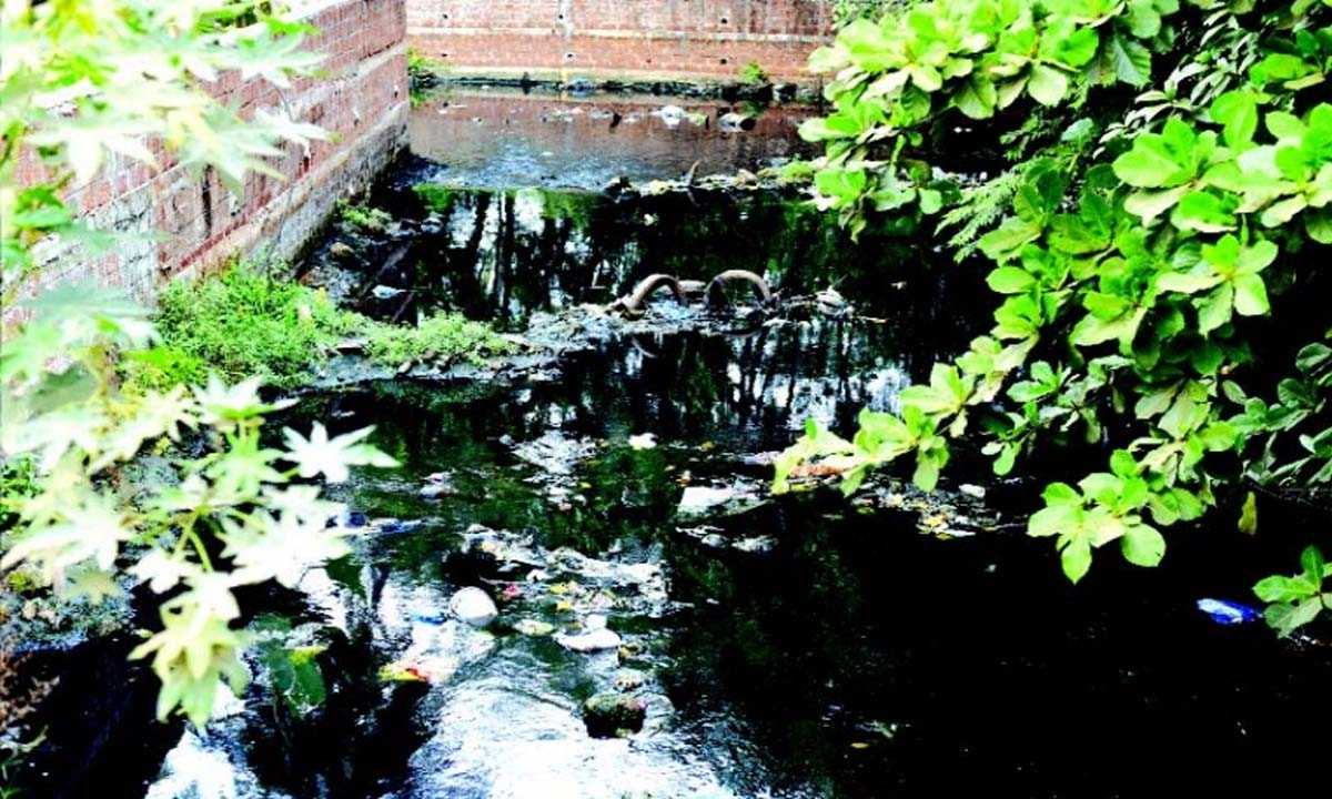सेंट इनेज़ क्रीक अभी भी भरा हुआ, कच्चे सीवेज से दूषित