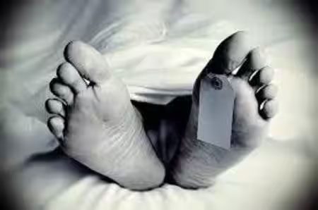 पुल से नीचे गिरा तेज रफ्तार बाइक सवार युवक, मौत