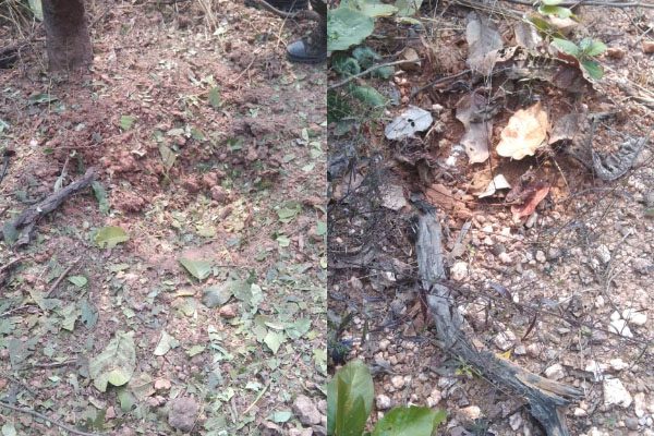 Jharkhand : पश्चिमी सिंहभूम में बड़ी नक्सली साजिश का खुलासा, 3 किलो IED बरामद
