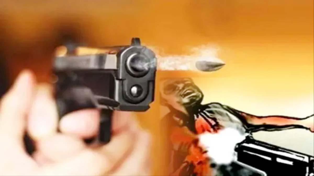 खेत की बाड़ में करंट आने से तीन गायों की मौत