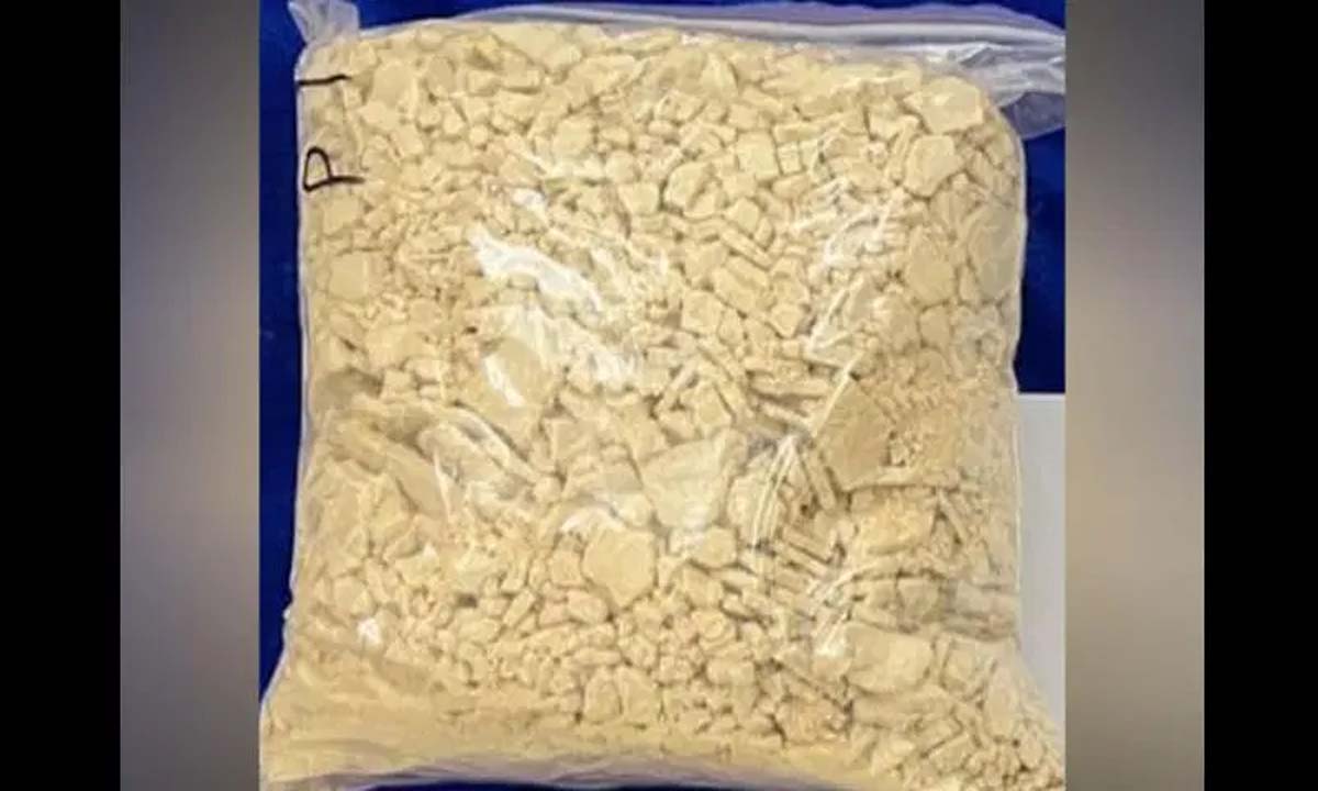 चेन्नई एयरपोर्ट कस्टम ने 12 करोड़ रुपये का नशीला पदार्थ जब्त किया