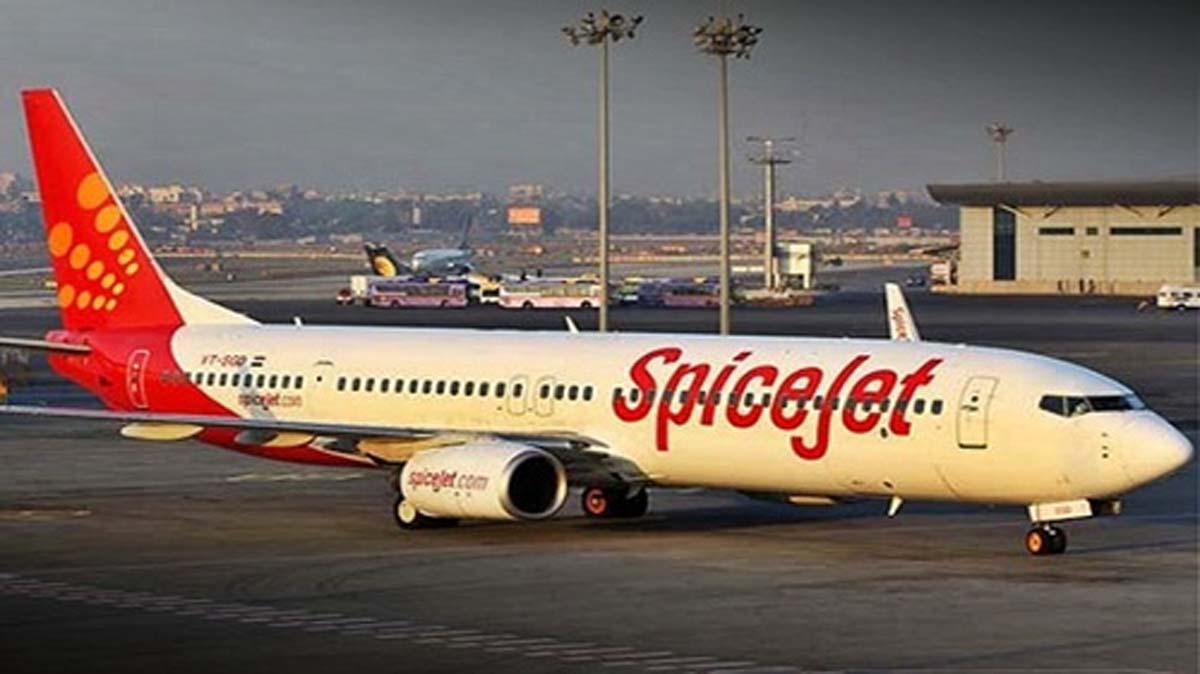 बिजनेसमैन कपल ने स्पाइसजेट में 19% हिस्सेदारी ली, इतने करोड़ का निवेश