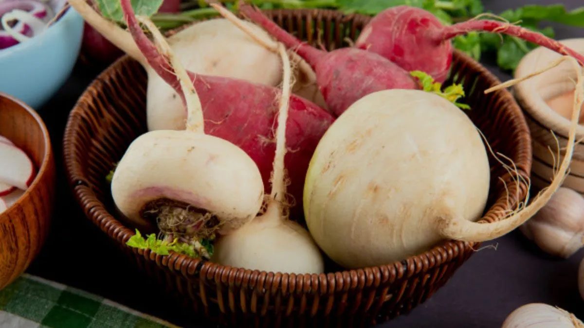 Turnip : सर्दियों में शलजम को खाने ये 5 फायदे जरूर जान लें