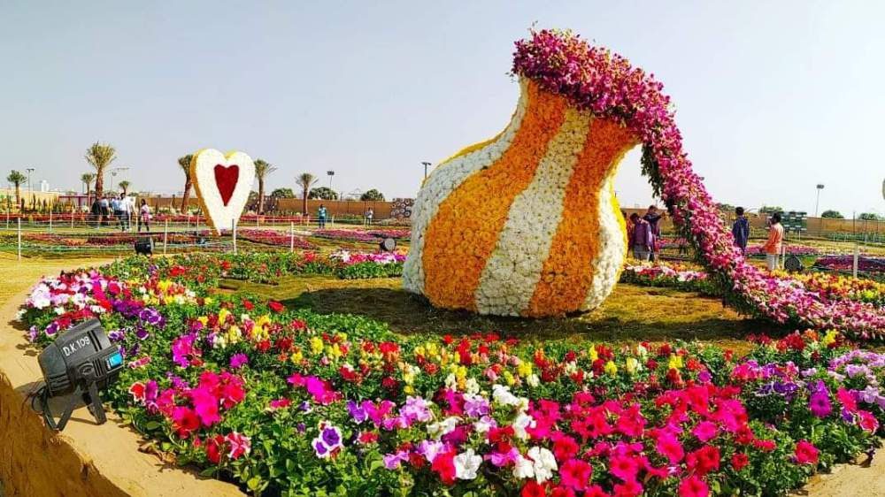 Gujarat : अहमदाबाद में 30 दिसंबर से शुरू होगा फ्लावर शो, जानिए कितनी होगी टिकट की कीमत