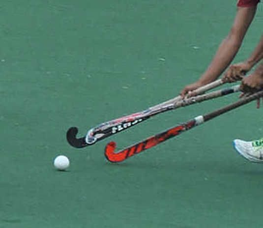 Himachal Pradesh : 'राज्य को पांच और एस्ट्रोटर्फ की जरूरत'