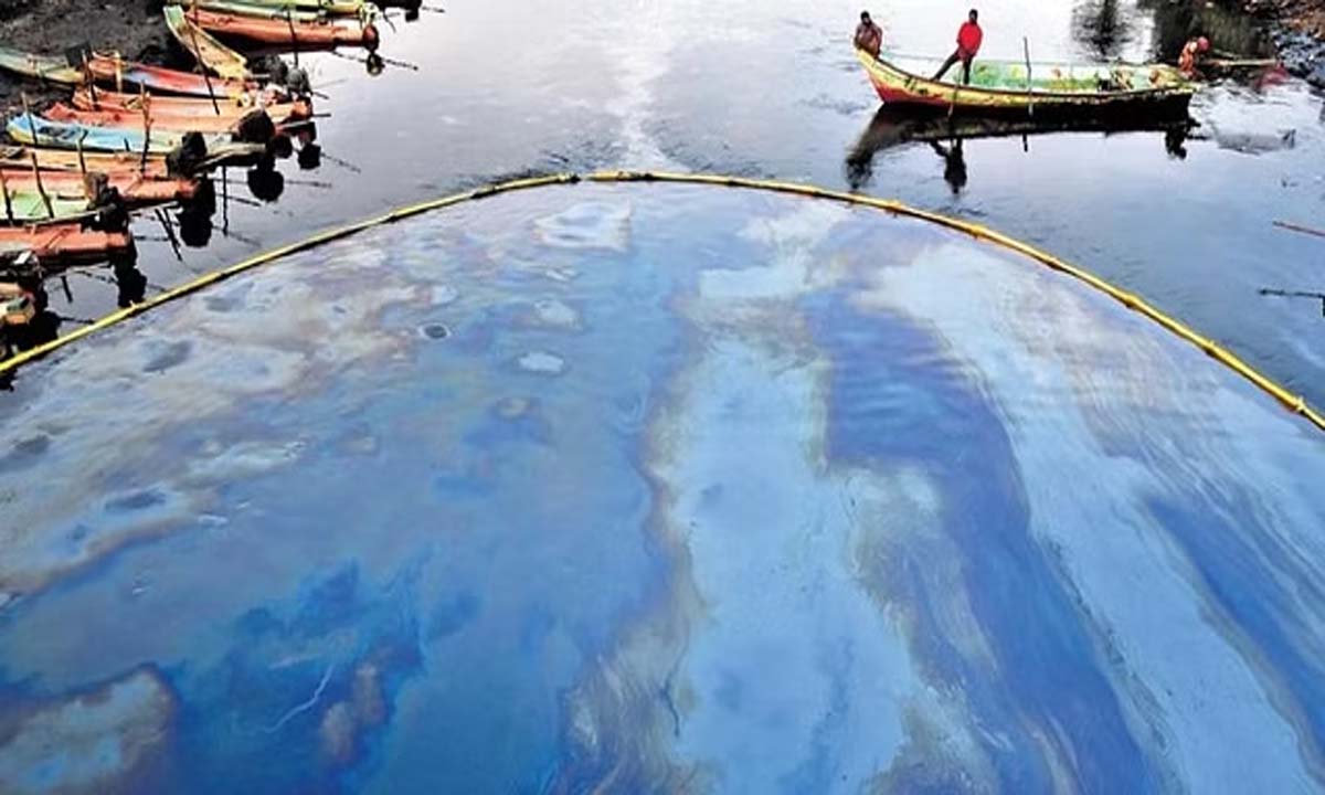 चेन्नई में मिचौंग प्रभाव: तेल का टुकड़ा जैव विविधता हॉटस्पॉट पुलिकट तक पहुंच गया