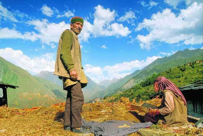 लाहौल के किसानों को समुद्री हिरन का सींग के बारे में जानकारी प्राप्त करने की सलाह दी गई