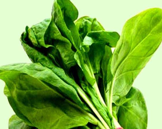 Lifestyle : इन तीन तरीकों से पालक खाना शरीर के लिए हानिकारक