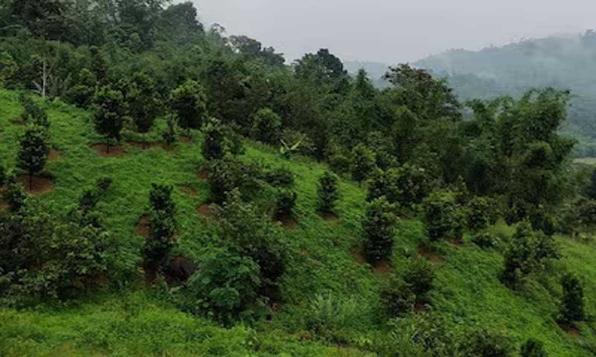 जबरन दान वसूली के कारण MoRTH ने RO को अरुणाचल से किया स्थानांतरित