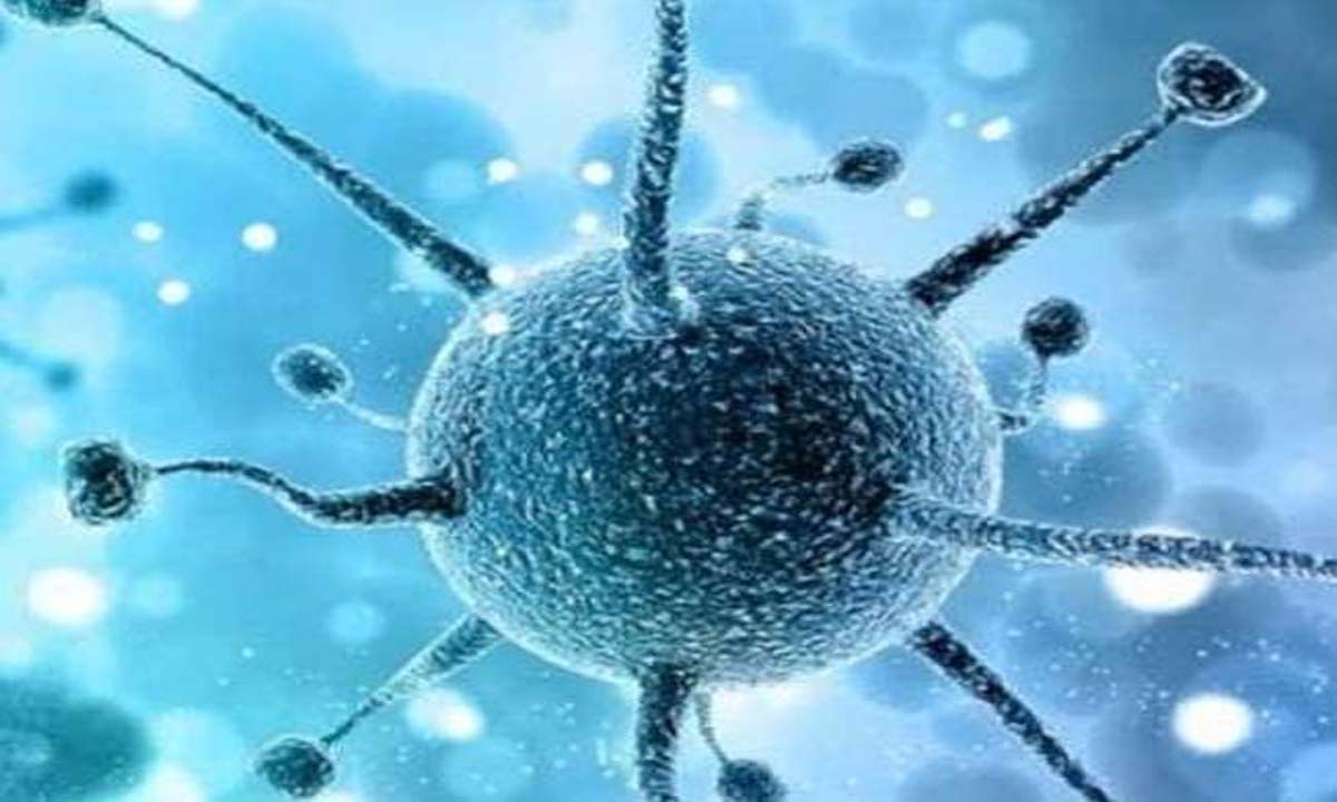 Bhupalpally: एक परिवार के 5 सदस्य कोविड 19 से संक्रमित पाए
