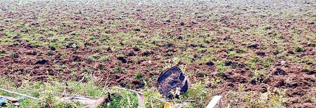 नूरपुर: सुप्रीम कोर्ट की रोक के बावजूद पौंग बांध के आसपास की जमीन पर खेती