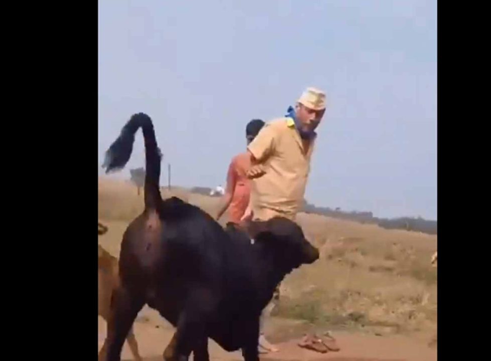 किसान है अन्न का भगवान, जैकी श्रॉफ ने शेयर किया वीडियो