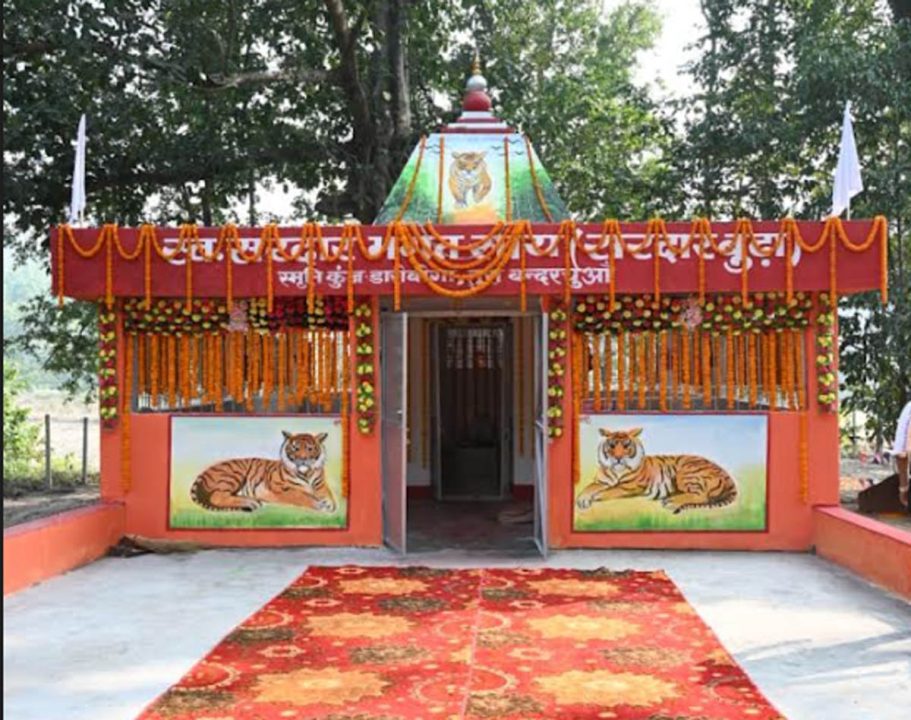 मुख्यमंत्री साय के पूर्वज ने बाघ के हमले से त्यागे थे प्राण, वहां साय ने की पूजा-अर्चना